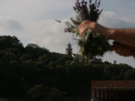 Önkéntes napokat tartanak Pannonhalmán a szerzetesség iránt érdeklődőknek