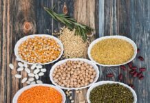 Milyen szerepet töltenek be szervezetünkben a makrotápanyagok?