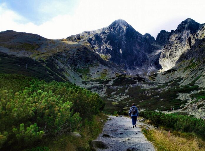 Farmati Anna Zarándokká tevő utak