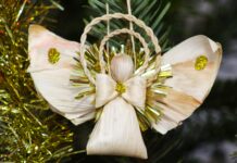 Cseh Katalin: Vigasz