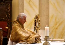 Visszapillantás és előretekintés – Beszélgetés Pál József Csaba megyés püspökkel