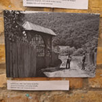 Beszelgetes-Szerdahelyi-Csongorral-Cseh-Tamasrol-10