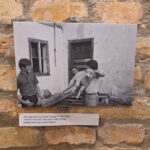 Beszelgetes-Szerdahelyi-Csongorral-Cseh-Tamasrol-8