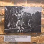 Beszelgetes-Szerdahelyi-Csongorral-Cseh-Tamasrol-9