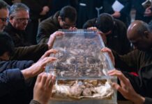 Assisi püspöke: Szent Ferenc tanítása legyen híd az új békemegállapodások felé