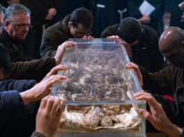 Assisi püspöke: Szent Ferenc tanítása legyen híd az új békemegállapodások felé